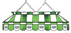 Philadelphia Eagles 40" Rectangular Stained Glass Shade