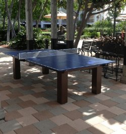 The Cosmopolitan Indoor / Outdoor All Weather Ping Pong Table by Gameroom Concepts