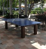 The Cosmopolitan Indoor / Outdoor All Weather Ping Pong Table by Gameroom Concepts