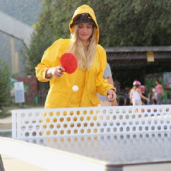 PARK Outdoor Stationary Table Tennis in Gray by Cornilleau<BR>FREE SHIPPING